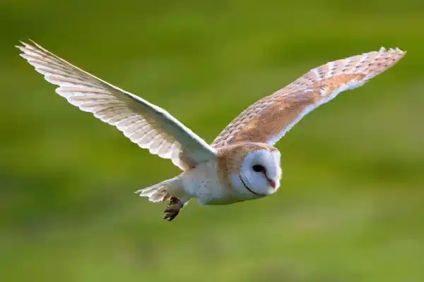 2025083063346234.webp 9.webp