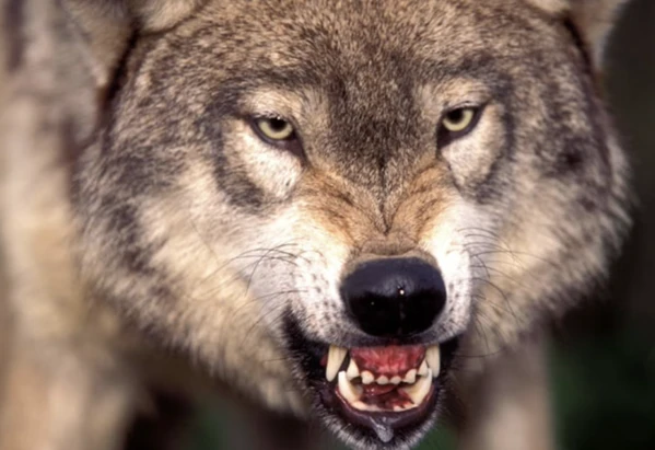 2024092894626884.png 8 (1).png