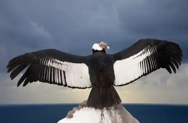 2025072815502218.webp 10.webp