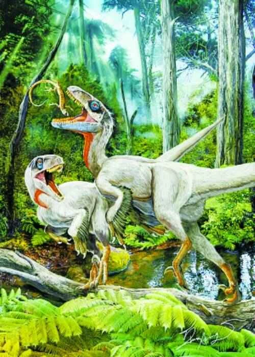 Luanchuan Dragon 栾川盗龙