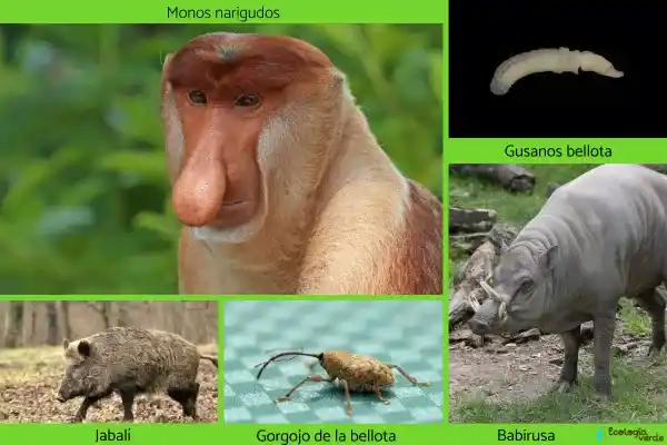 2025071793246419.webp 12.webp