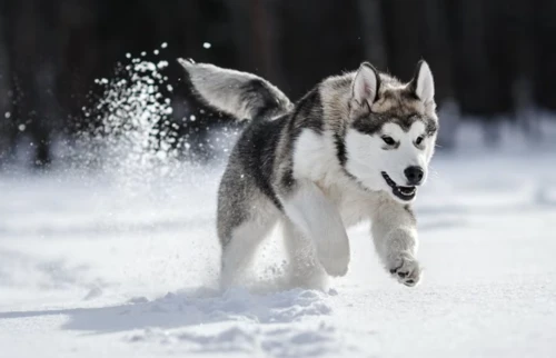 2024100814963215.png 10.png