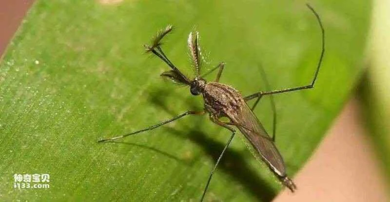 2023032414090015.jpg 4.jpg