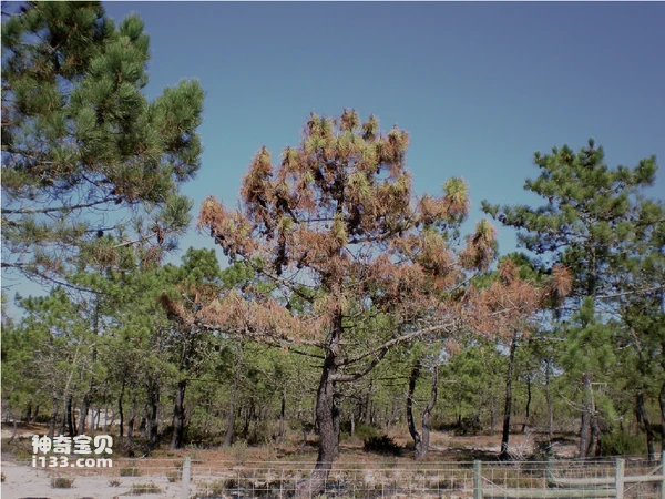 2024042619322198.png 1.png