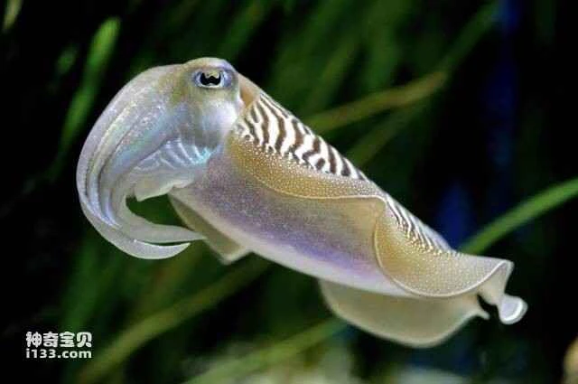 2023052555439812.jpg 9.jpg