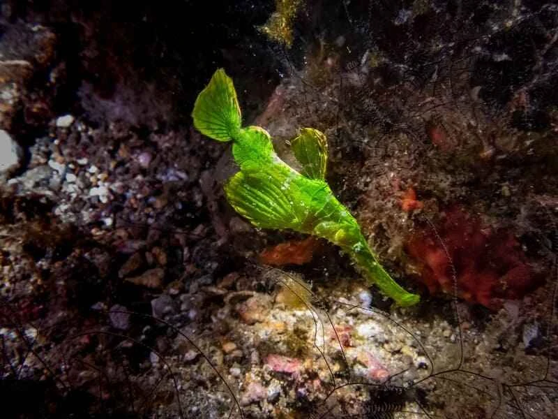 2025042567452877.jpg 18.jpg