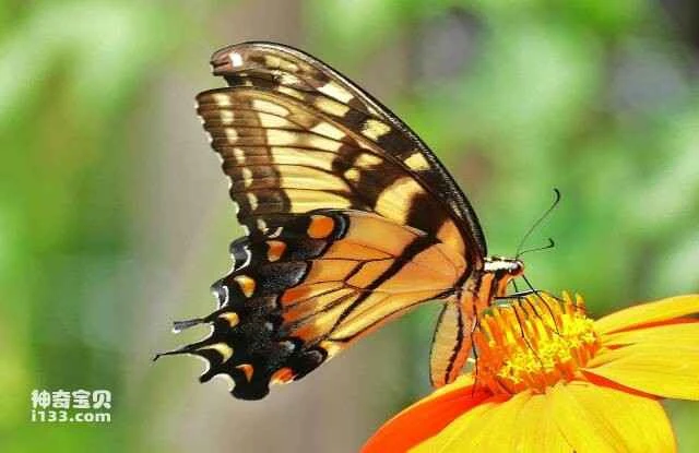 2023060513883019.jpg 8.jpg