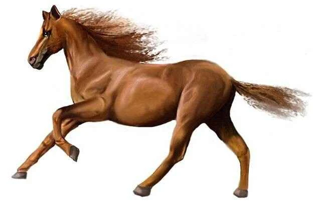 2023052954764916.jpg 5.jpg