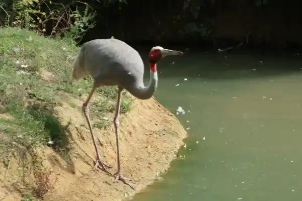 2025123112122513.webp 6.webp