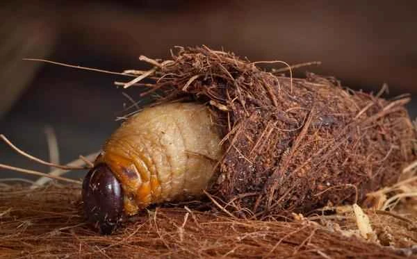 2024102281068840.jpg 3 (1).jpg