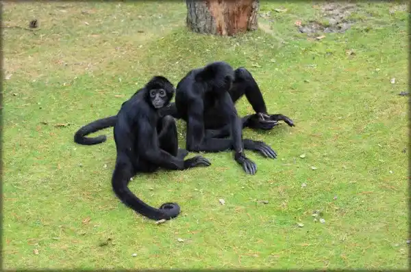 2025091881505927.webp 9.webp