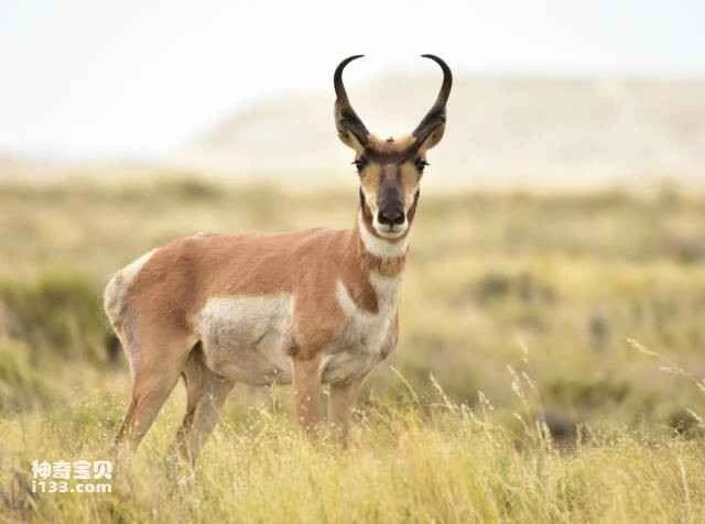 2023060125354421.jpg 12.jpg