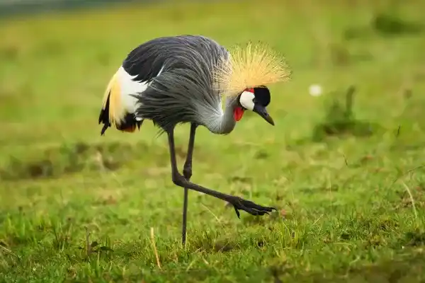 2025123111688964.webp 14.webp