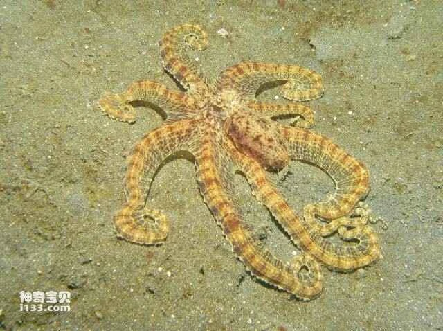 2023052544642252.jpg 4.jpg