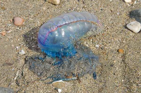 2024060410362741.jpeg 5.jpeg