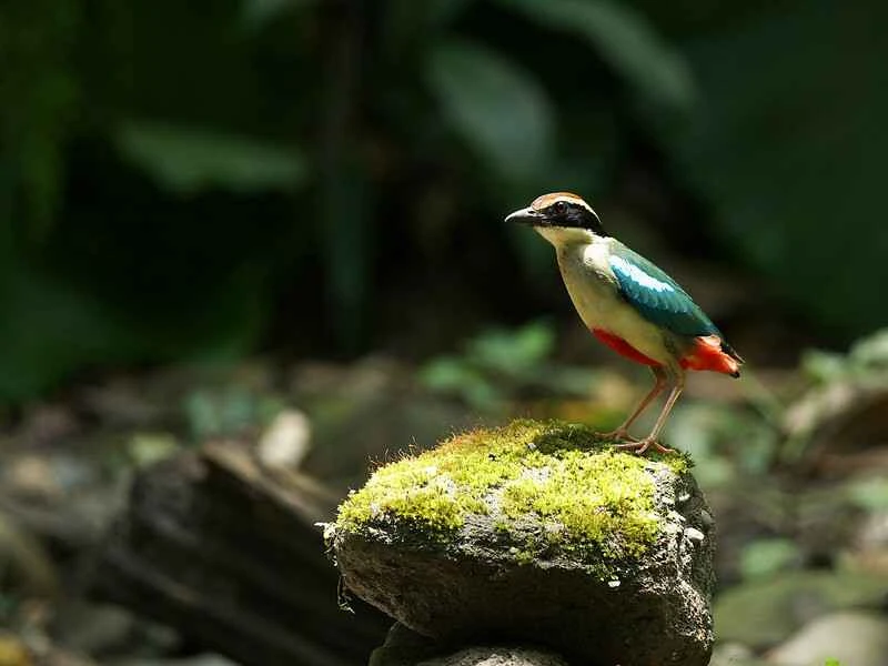 2025031017815271.jpg 2.jpg