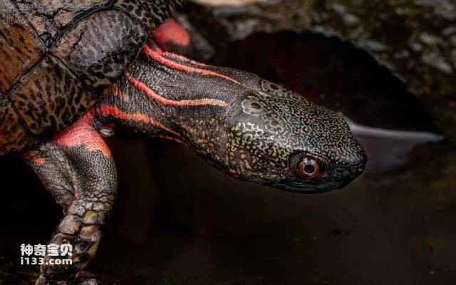 2023051174348690.jpg 6.jpg