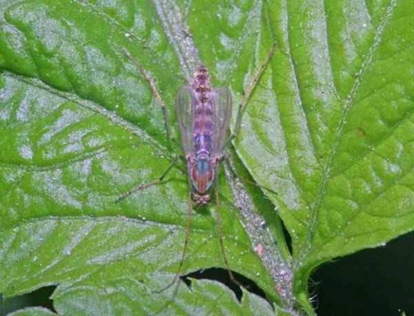 2022121921335945.jpg 1_九雷图片转换器.jpg