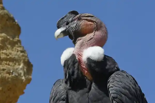 2025083094082314.webp 12.webp