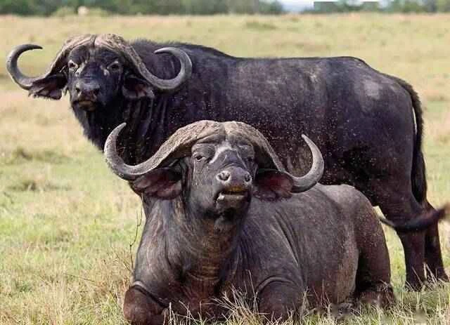 2024092514524900.jpeg 7.jpeg