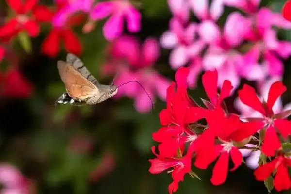 2025071772329539.webp 6.webp