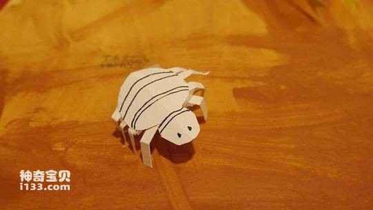 Morphology and life habits of the tinid worm