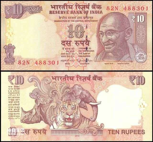 2023060517990524.jpg 11.jpg