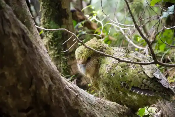 2025072959230559.webp 3.webp