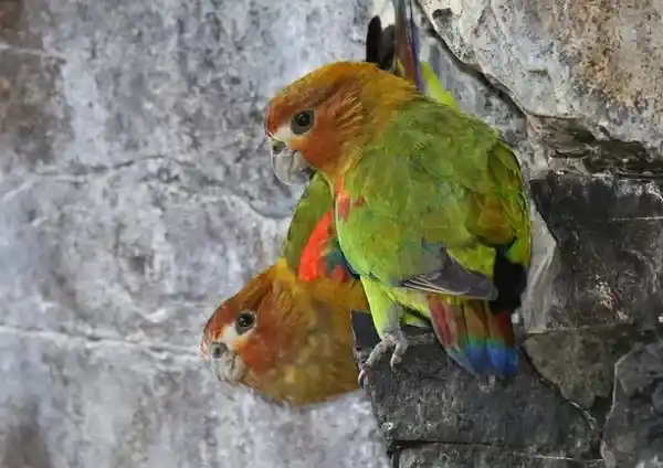 2025091515876693.webp 6.webp