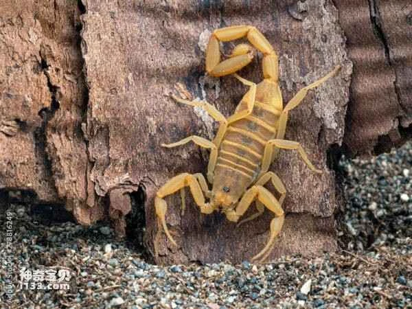 2023110645690685.jpg 4(1).jpg