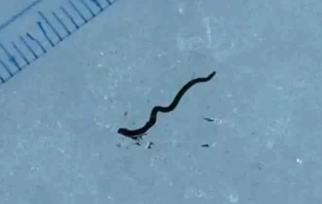 1658401406579114.jpg 1658401406579114.jpg