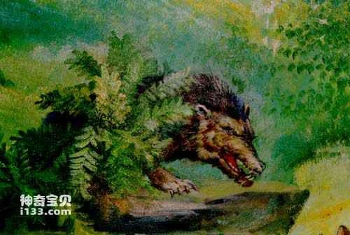 Evolution of carnivorous mammals