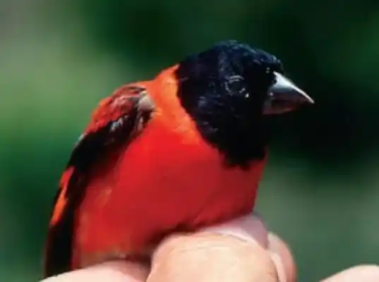 2025091518072164.webp 4.webp