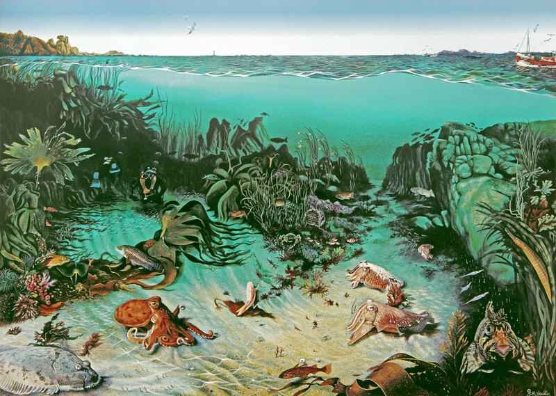 2024111785832171.jpg 66.jpg