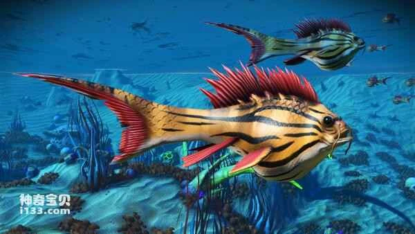 Top 10 most beautiful fish in the world