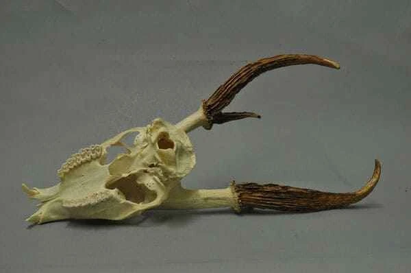 2024011718299767.jpeg 111.jpeg