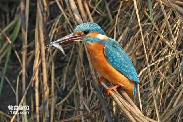 2023060418406739.jpg 99.jpg