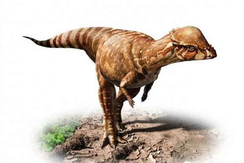 1670218977115107.jpg 4.jpg