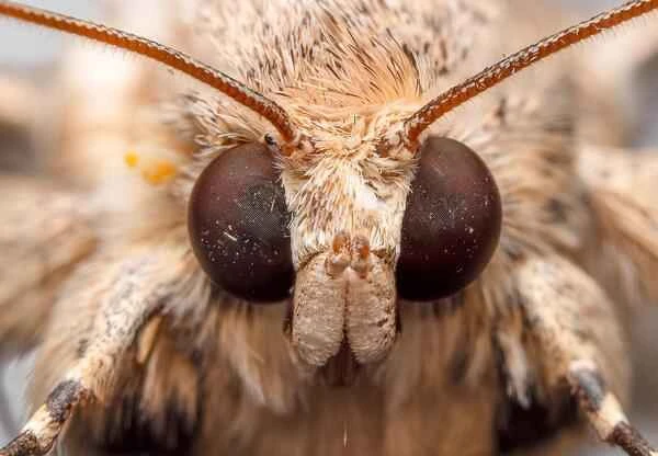 2024092920727475.jpg 7.1.jpg