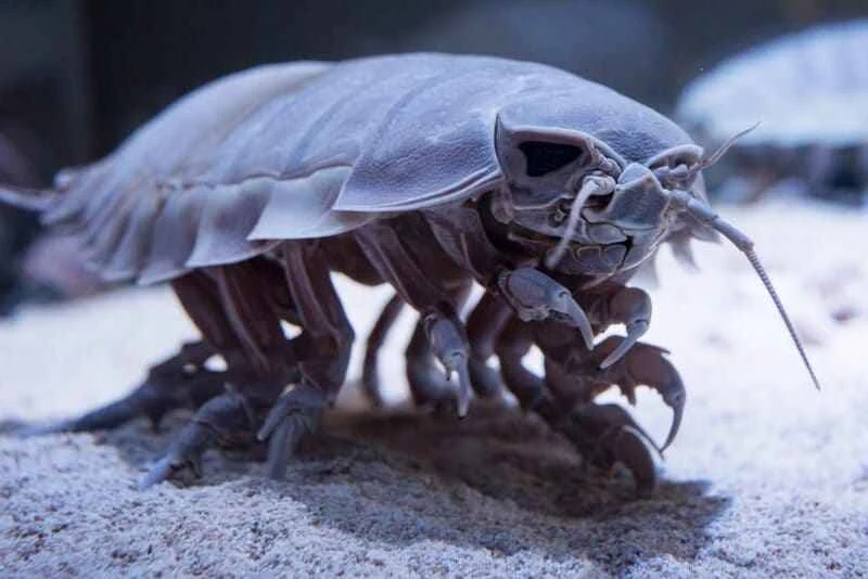 2025042541096504.jpg 44.jpg