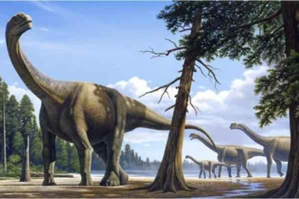 Dinosaurios encontrados en España - Aragosaurus ischiaticus