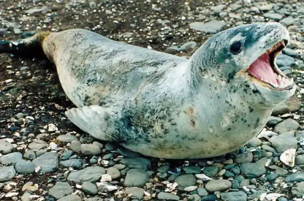 2025080572720312.webp 4.webp