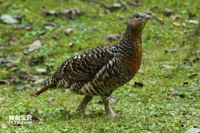 2023052515080741.jpg 7.jpg