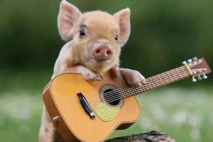 1658401368858315.jpg 1658401368858315.jpg