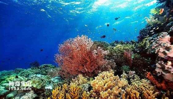 2023042815642853.jpg 4.jpg