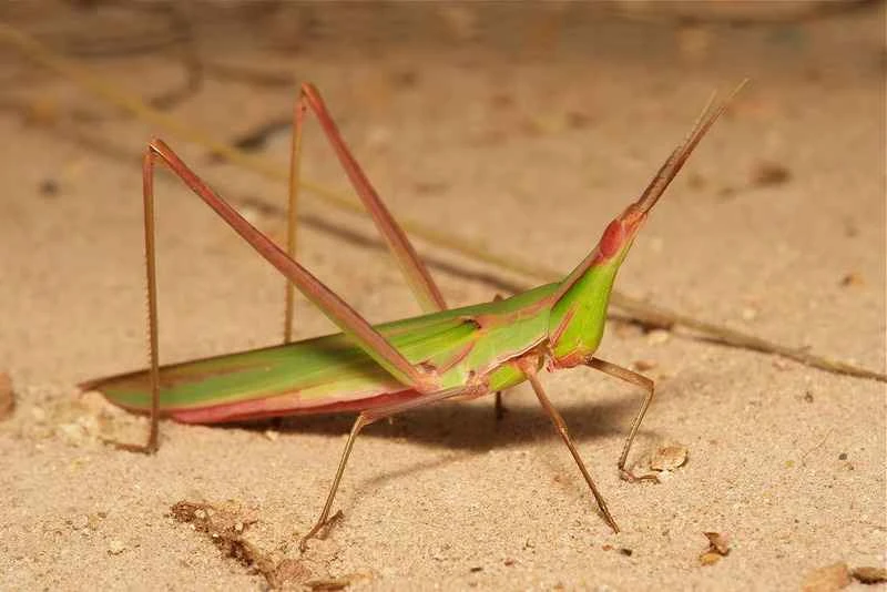 2025011362837227.jpg 118.jpg