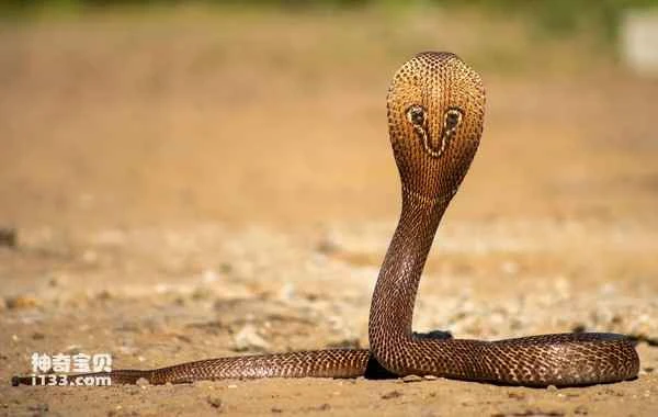 2024080775656821.jpg 2.jpg