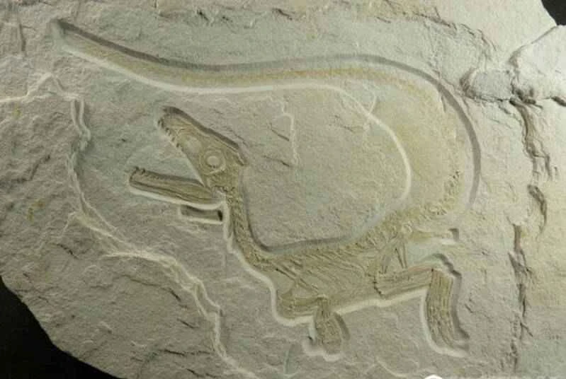 1670219019991037.jpg 9_九雷图片转换器.jpg