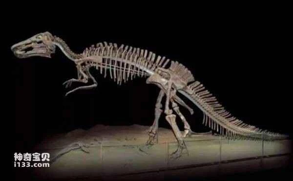 2023033114672727.jpg 3.jpg