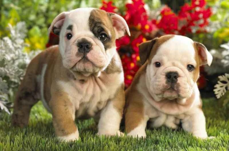 1658401384212942.jpg 1658401384212942.jpg